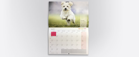 Impression Calendrier mural personnalisé